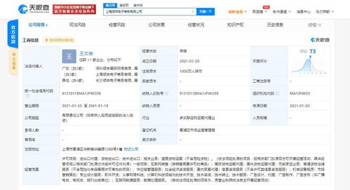 顺丰关联公司在沪成立电商新公司，多元化业务布局再添新翼