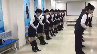 躬行实践，知行合一——高端服务专业学生参与机场防爆与礼仪服务的启示